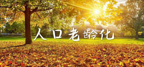 德泓咨询干货｜第一期：医养结合课题《老龄化社会与银色经济》