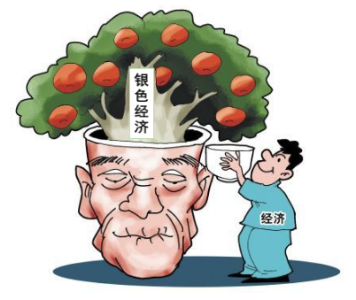 德泓咨询干货｜第一期：医养结合课题《老龄化社会与银色经济》