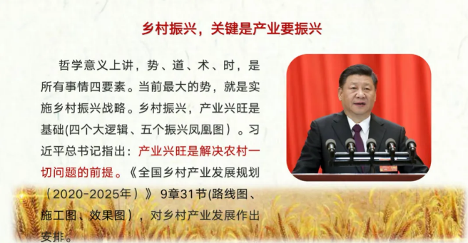 农业农村部陈建光处长详解《全国乡村产业发展规划（2020-2025年）》