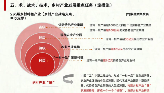 农业农村部陈建光处长详解《全国乡村产业发展规划（2020-2025年）》