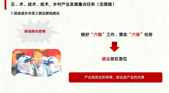 农业农村部陈建光处长详解《全国乡村产业发展规划（2020-2025年）》