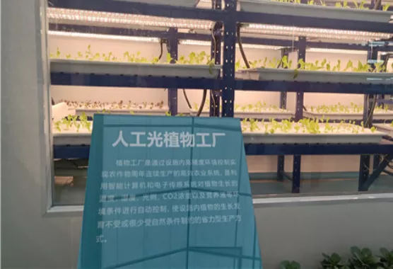 乡村振兴课题（五）丨乡村振兴项目操盘要点之农业产业园篇——走进西姜寨爱思嘉现代农业产业园