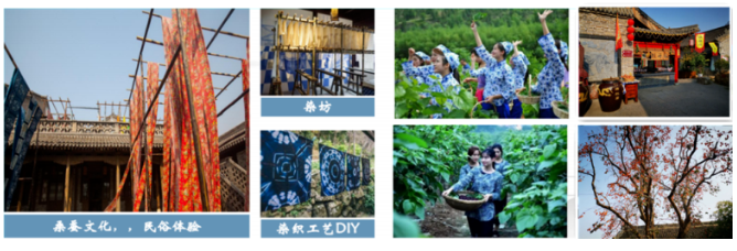 乡村振兴课题（六）丨乡村振兴项目操盘要点之乡村特色旅游小镇篇——走进鹤壁桑园小镇
