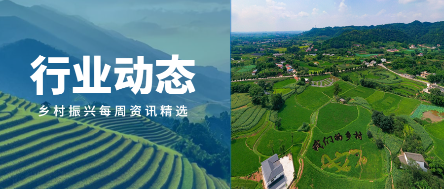 行业动态｜乡村振兴每周资讯精选