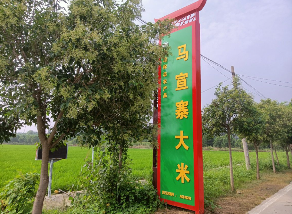 乡村振兴项目调研 | 全国乡村特色产业亿元村河南省焦作市武陟县马宣寨村