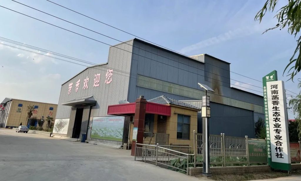 乡村振兴项目调研 | 全国乡村特色产业亿元村河南省焦作市武陟县马宣寨村