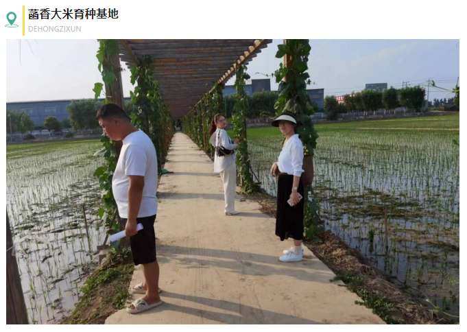 乡村振兴项目调研 | 全国乡村特色产业亿元村河南省焦作市武陟县马宣寨村